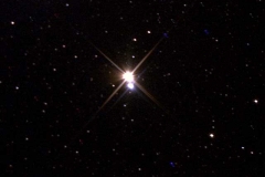 Albireo- Stella Binaria